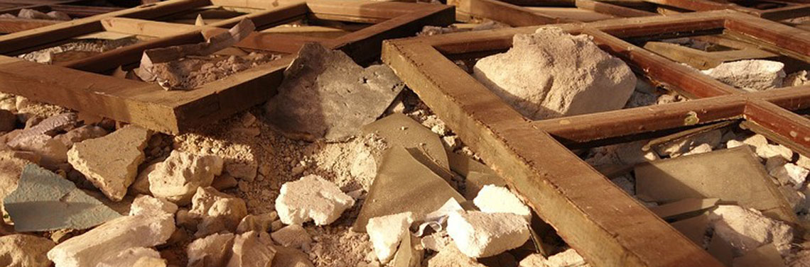 Sitt elszállítás, zöldhulladék és egyéb törmelék eltakarítás Dunaharaszti és vonzáskörzetében