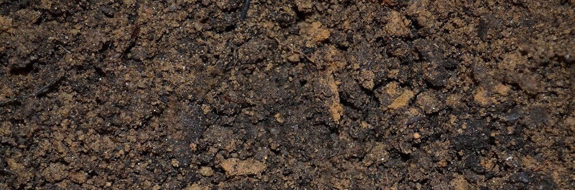 Termőföld fuvarozás, termőföld kiszállítás Dunaharaszti és vonzáskörzetében